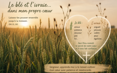 Le blé et l&rsquo;ivraie… dans mon propre cœur